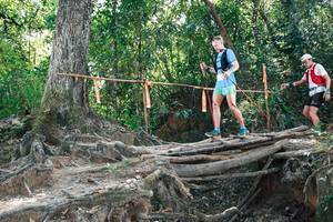 BIB: 
                            <button type="button" onclick="openModal(27745532)" class="btn btn-primary btn-sm float-right btn-popup" data-toggle="modal" data-target=".modal-high-quality">
                        <i class="fas fa-shopping-cart"></i> Add to Cart
                    </button>
                                            <button type="button" onclick="isThisMe(27745532, true)" class="btn btn-success btn-sm float-right btn-popup btn-isme hidden" data-toggle="tooltip" data-placement="bottom" title="นี่คือรูปของคุณใช่ไหม คลิกที่นี่เพื่อเอาเข้าอัลบั้ม">
                        <i class="fas fa-plus"></i> Add to album
                    </button>
                    <button type="button" onclick="isThisMe(27745532, false)" class="btn btn-warning btn-sm float-right btn-popup btn-isnotme hidden">
                        <i class="fas fa-ban"></i> Remove from album
                    </button>